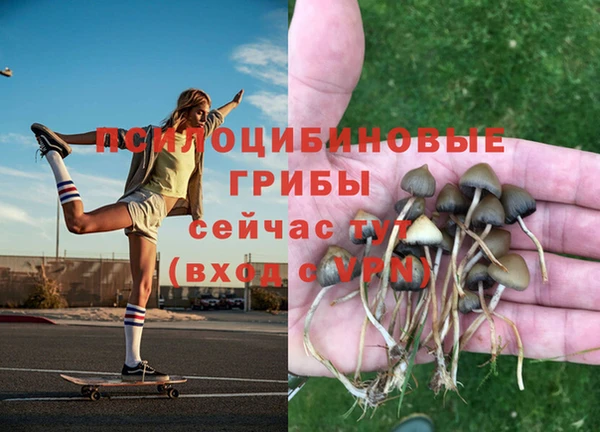 герыч Надым