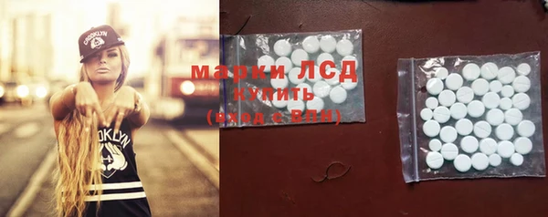 прущие грибы Навашино