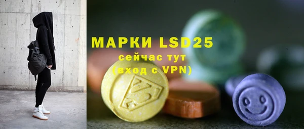 прущие грибы Навашино